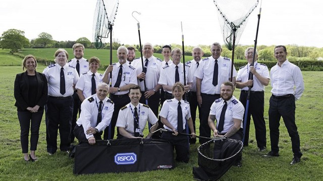 Watch RSPCA: On the Frontline Online