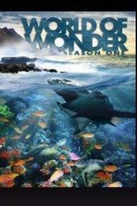 World of Wonder