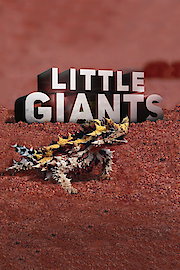 Little Giants