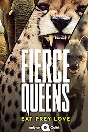 Fierce Queens poster