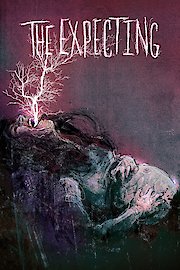 The Expecting poster