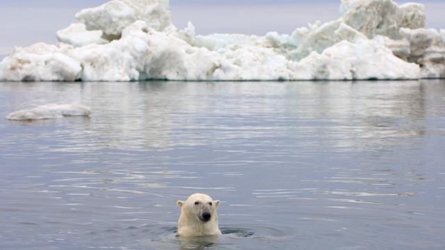 Watch Arctic Waters Online