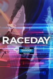 NASCAR Raceday: NGROTS poster