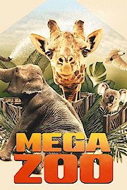 Mega Zoo