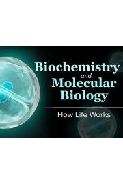 Biochemistry and Molecular Biology: How Life Works poster