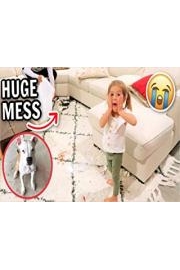 Life As A Mommy poster