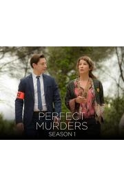 Perfect Murders poster
