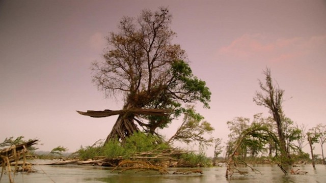 Watch Wild Monsoon Online