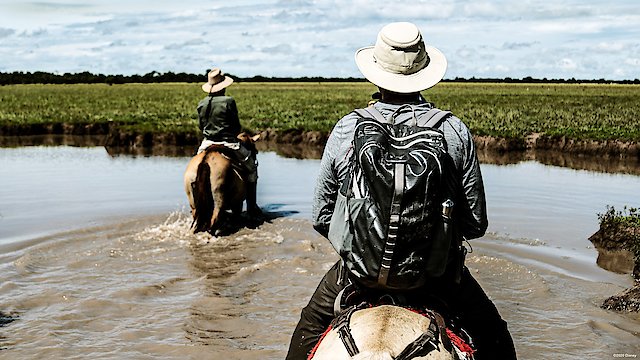 Watch Rogue Trip Online