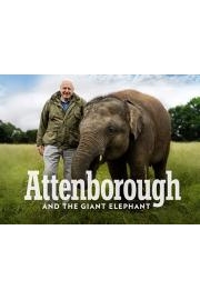 Attenborough and the Giant Elephant