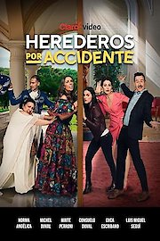 Herederos Por Accidente poster