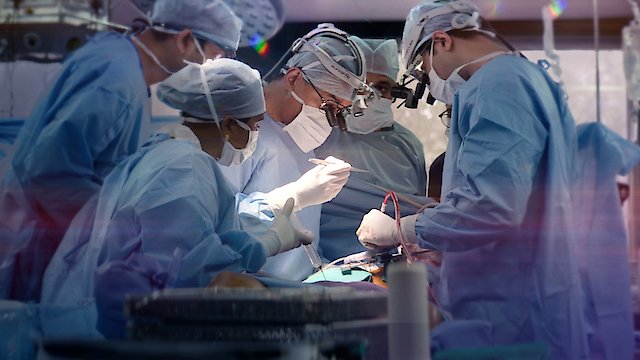 Watch The Surgeon's Cut Online