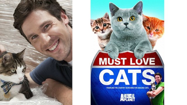 Watch Must Love Cats Online