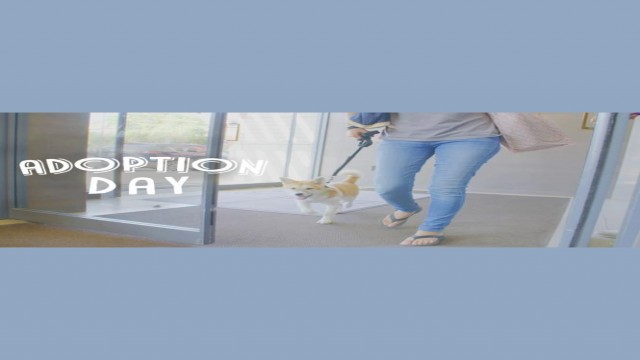 Watch Adoption Day Online