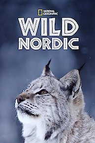 Wild Nordic