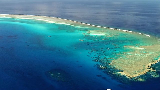 Watch Big Fish Big Adventure Online