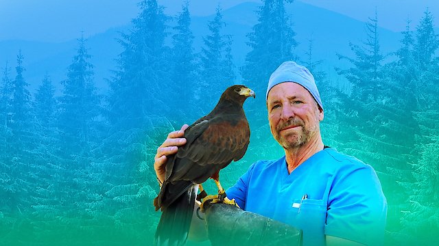 Watch The Wild Life of Dr. Ole Online