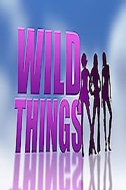 Wild Things poster