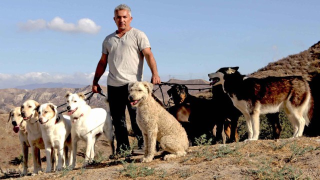 Watch Cesar Millan: The Real Story Online