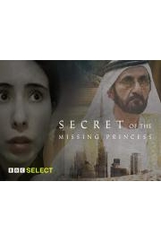 Secret of the Missing Princess poster