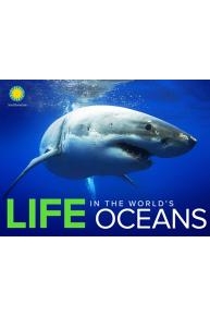 Life in the World's Oceans