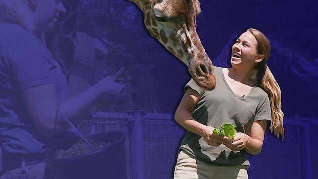 Watch Sam's Zookeeper Challenge Online