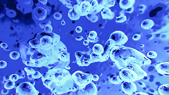 Watch MTV's Liquid Television Online