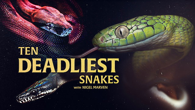 Watch Ten Deadliest Snakes with Nigel Marven Online