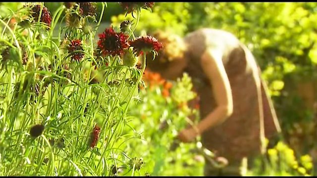Watch The Edible Garden Online