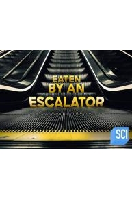 Eaten by an Escalator