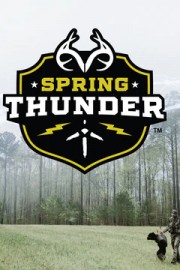 Spring Thunder poster