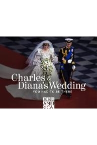 Charles and Diana's Wedding: You Had to Be There