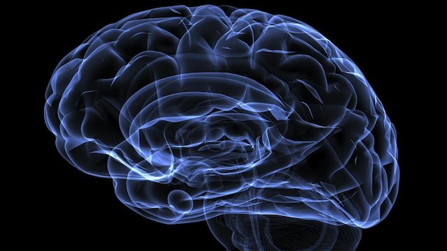 Watch Ingenious Minds Online