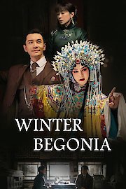 Winter Begonia