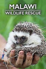 Malawi Wildlife Rescue