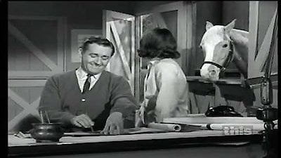 Ed the Matchmaker