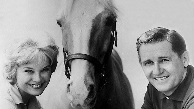 Watch Mister Ed Online