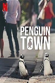 Penguin Town