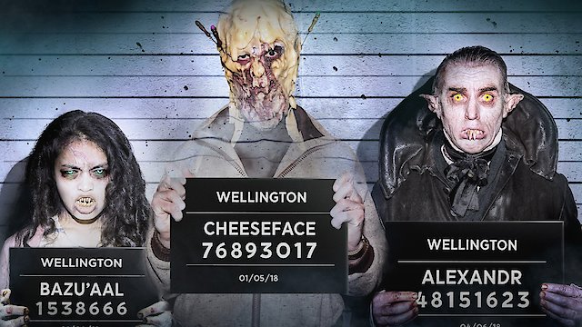 Watch Wellington Paranormal Online