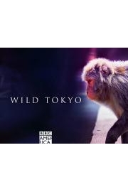 Wild Tokyo
