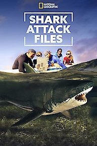 Shark Attack Files