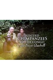 Rescued Chimpanzees of the Congo with Jane Goodall poster