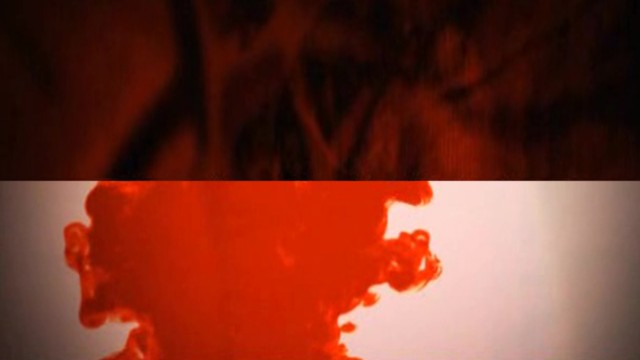 Watch Racism: A History Online