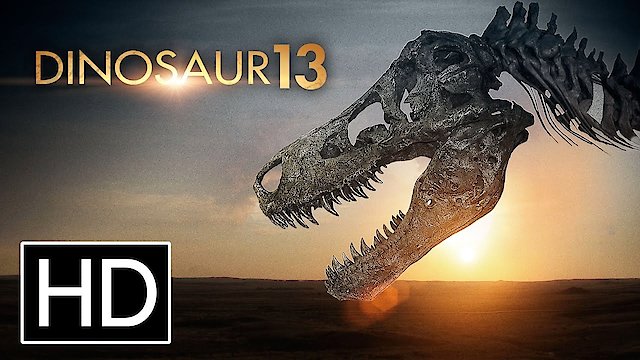 Watch Dinosaur 13 Online
