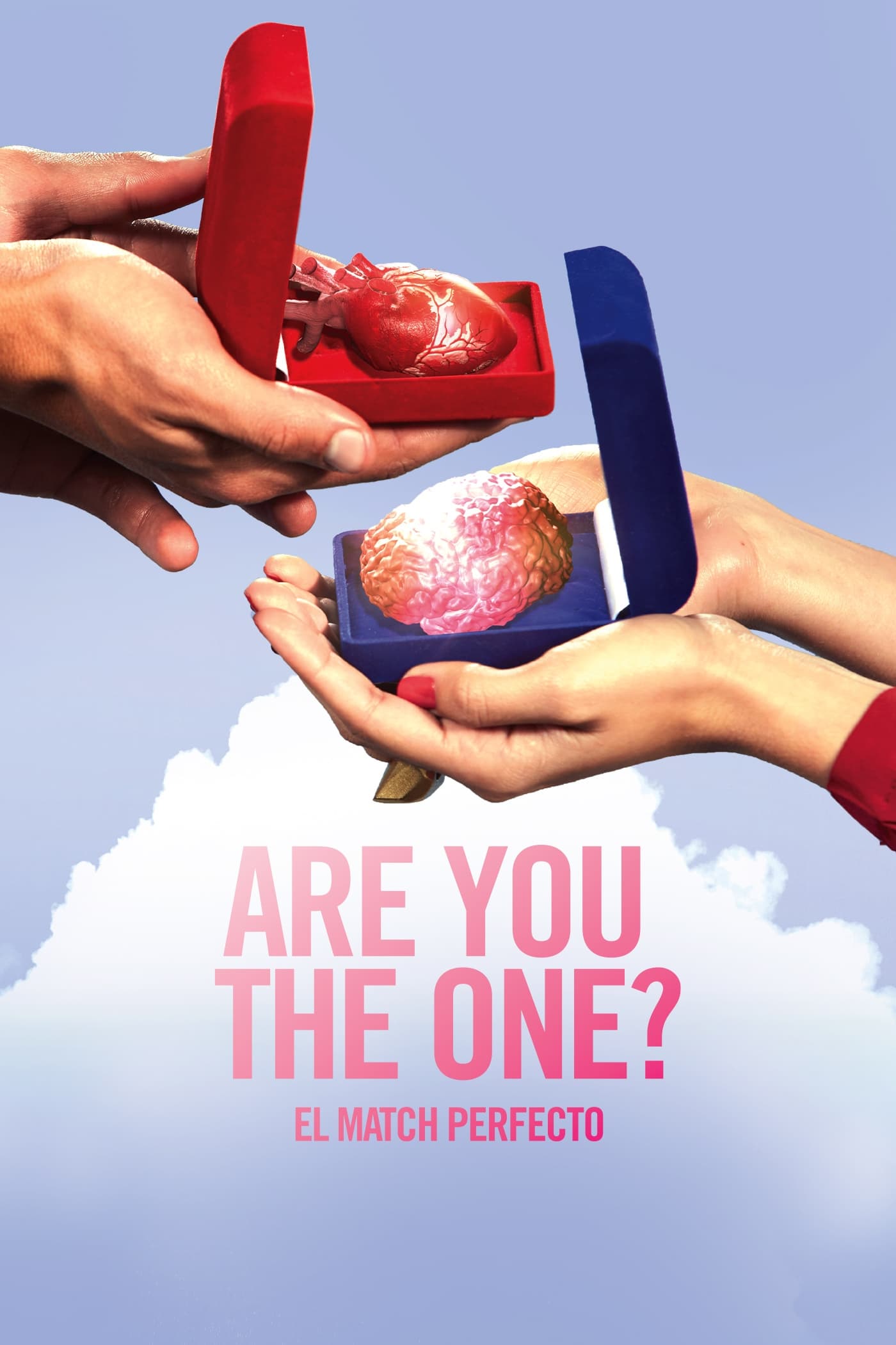 Are you the one? El match perfecto