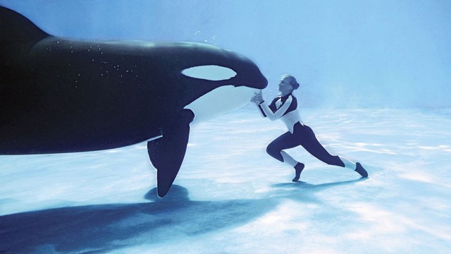 Watch Blackfish Online