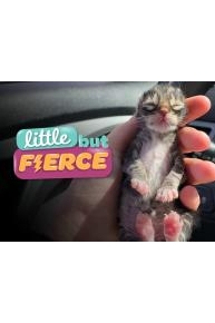 Little But Fierce