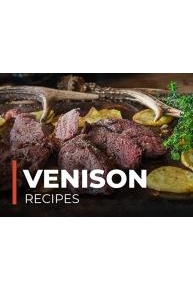 Venison Recipes