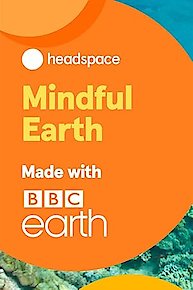 Mindful Earth