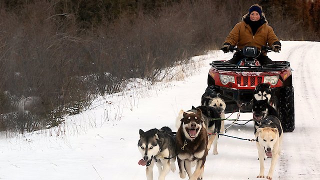 Watch Life Below Zero: Northern Territories Online